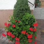 Apartman Boutique - Tauernblick *