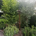 Boutique - Tauernblick * Walchen