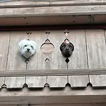 Apartman Boutique - Tauernblick