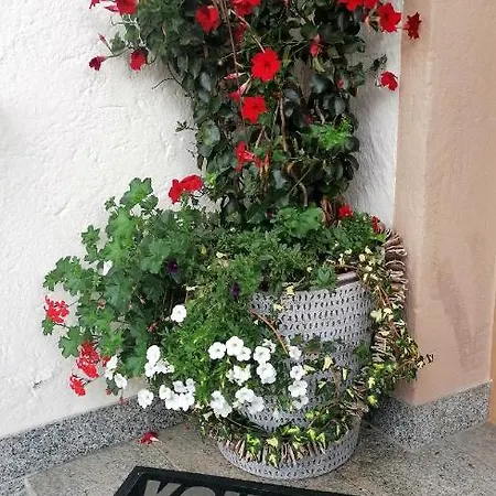 Boutique - Tauernblick Apartment *