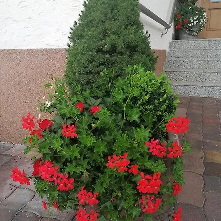 Apartment Boutique - Tauernblick *