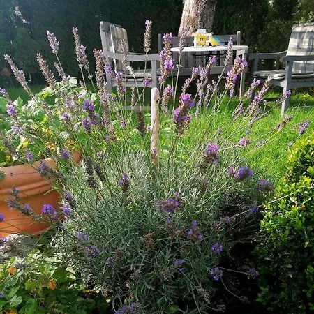 Apartment Boutique - Tauernblick