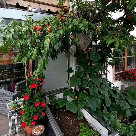 Boutique - Tauernblick Walchen