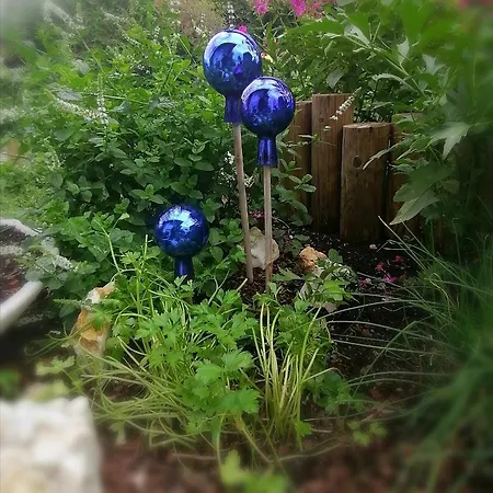 Boutique - Tauernblick Apartment *