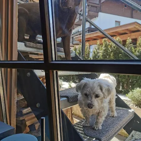 Boutique - Tauernblick アパート *