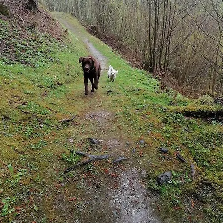 Boutique - Tauernblick Walchen