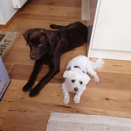 アパート Boutique - Tauernblick *